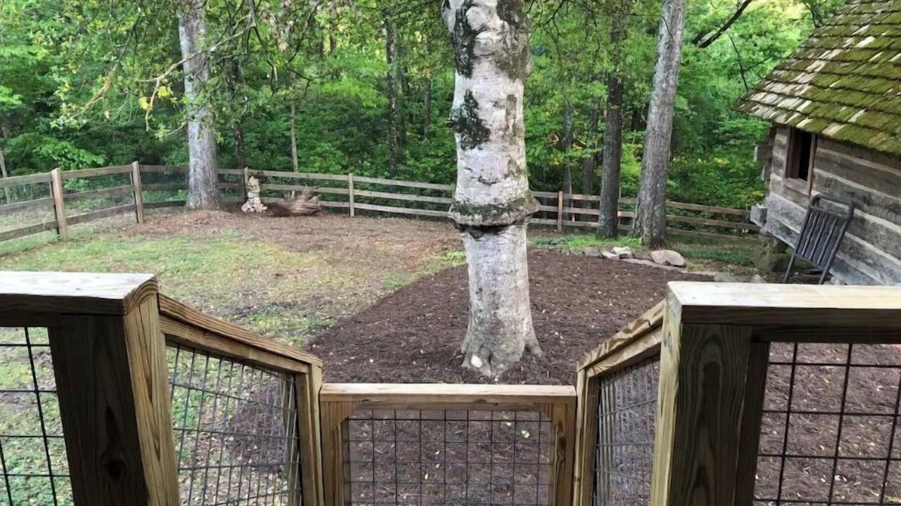 Photo of Outdoor in Forsyth County