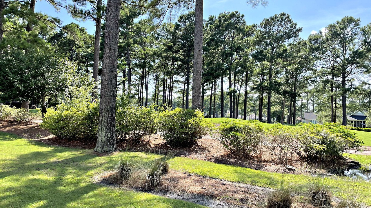 Photo of Outdoor in Calabash