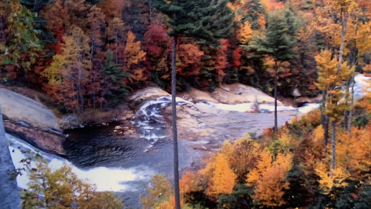 Photo of Others in Lake Toxaway