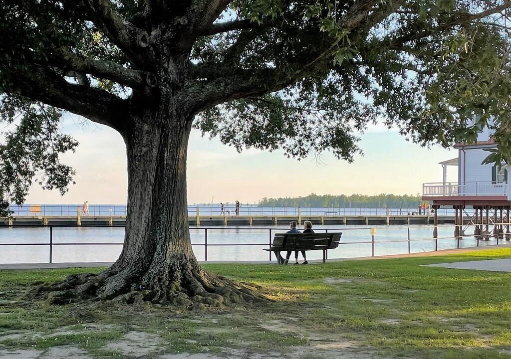 Photo of Others in Edenton