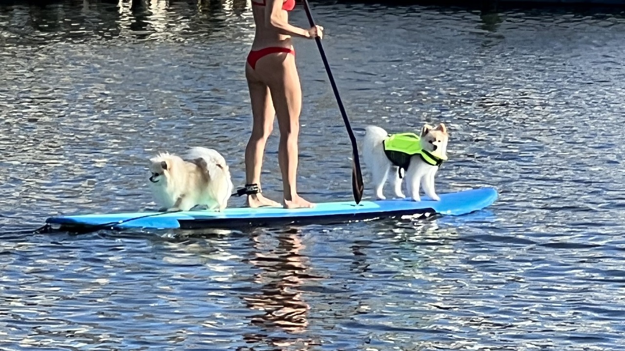 Photo of Others in Colington Harbour