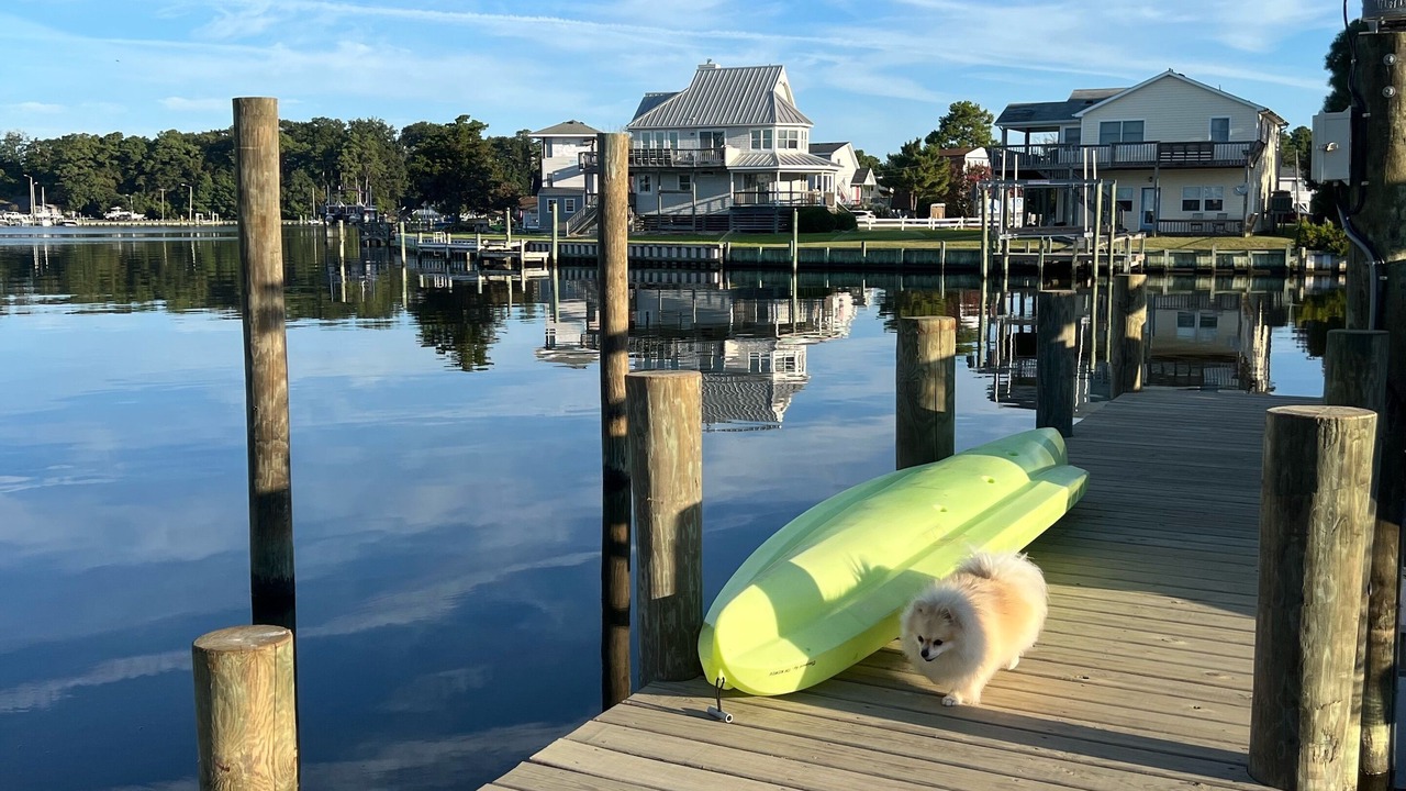 Photo of Outdoor in Colington Harbour