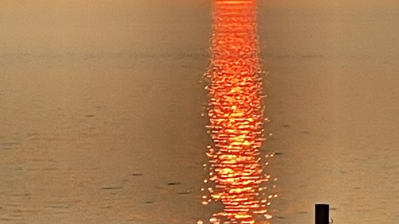 Photo of Others in Edenton