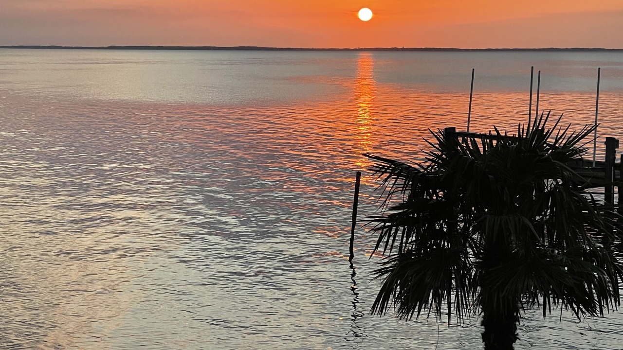 Photo of Others in Edenton