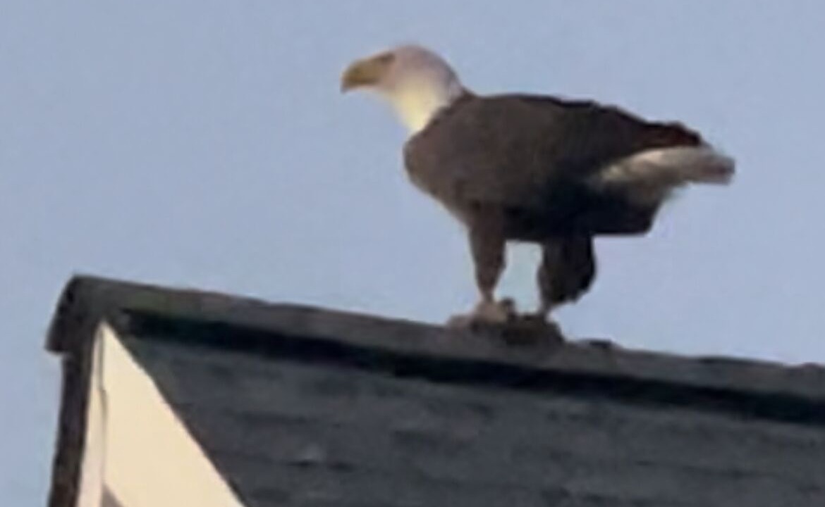 Photo of Others in Edenton
