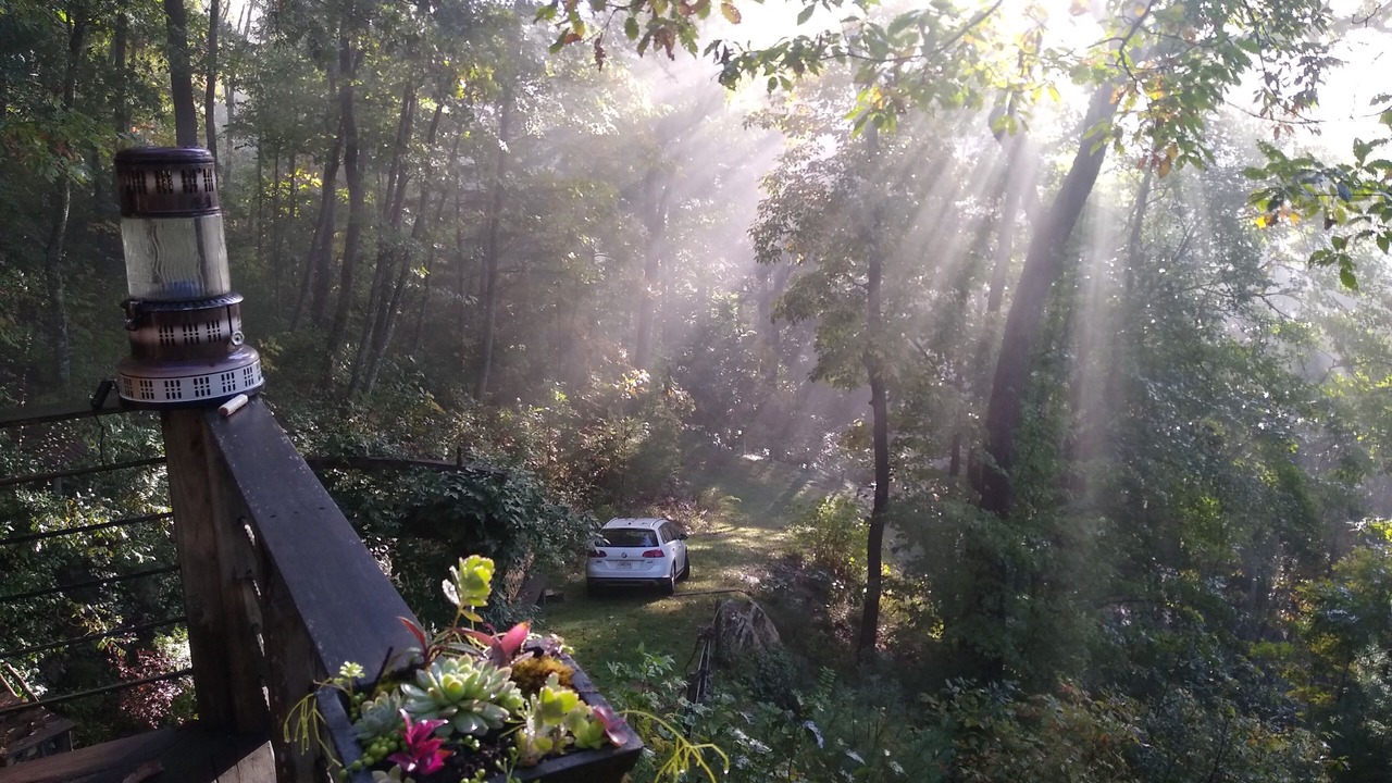 Photo of Outdoor in Cullowhee