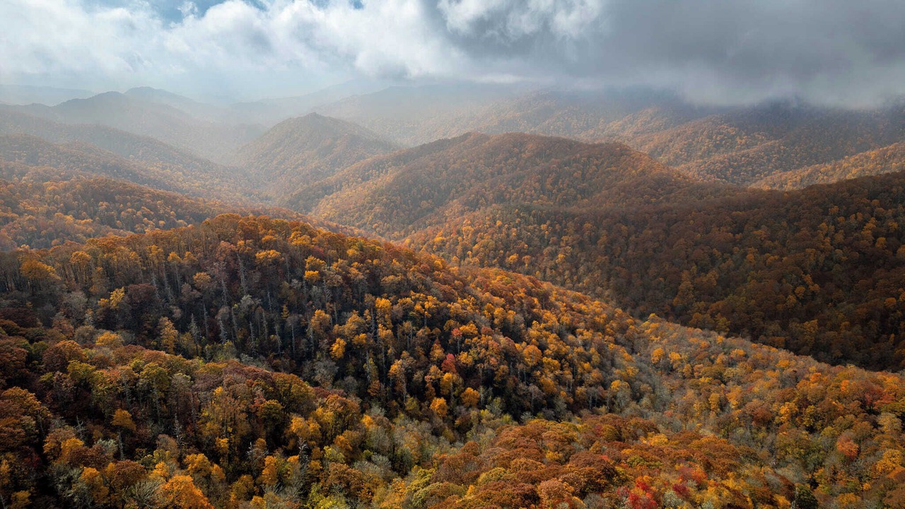 Photo of Others in Cullowhee