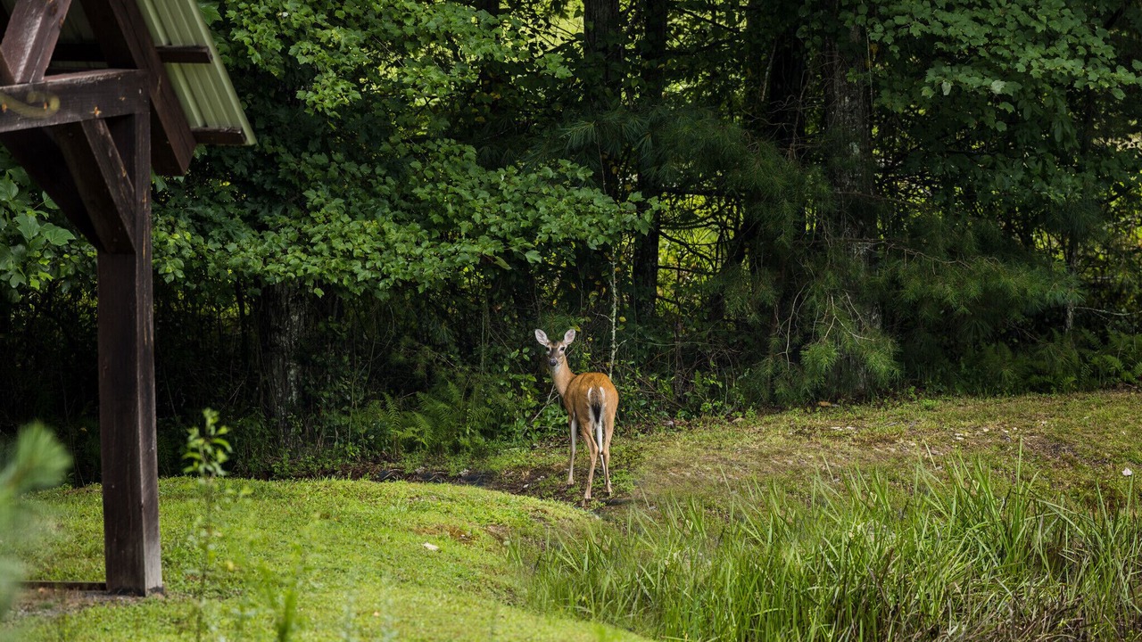 Photo of Others in Murphy