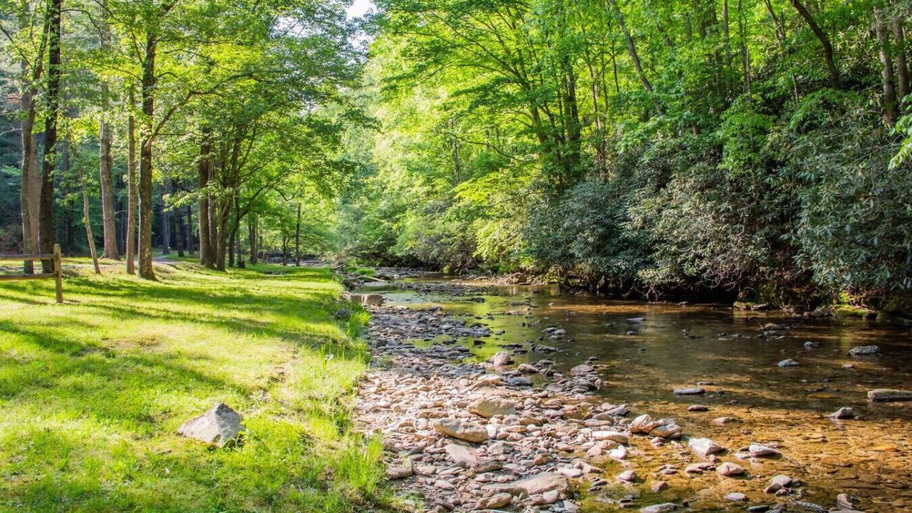 Photo of Others in Deep Gap