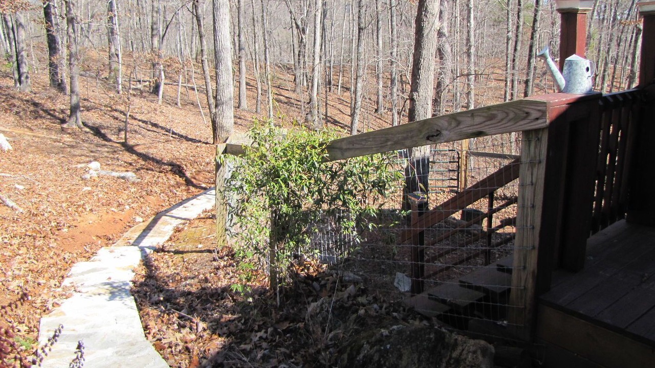 Photo of Outdoor in Lake Lure
