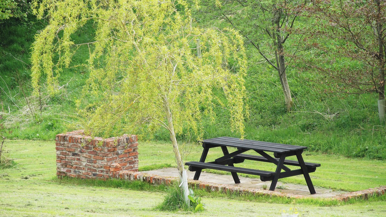 Photo of Outdoor in Morpeth
