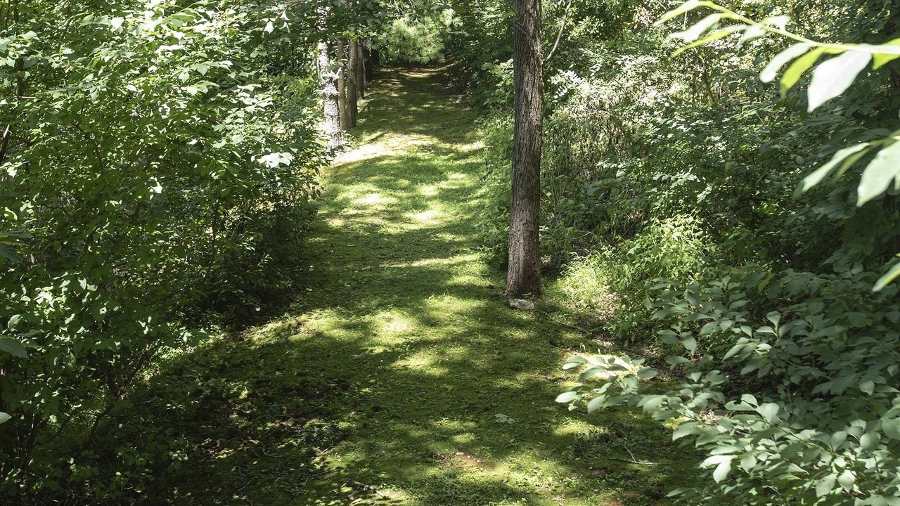 Photo of Others in Countryside Acres