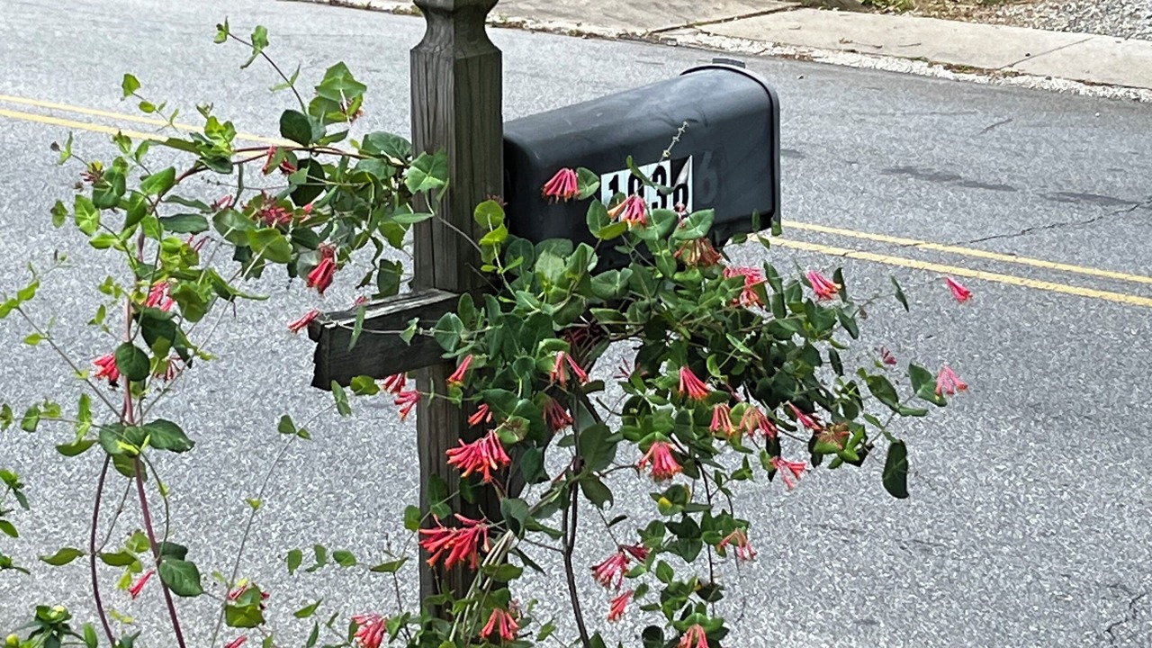 Photo of Outdoor in Hendersonville