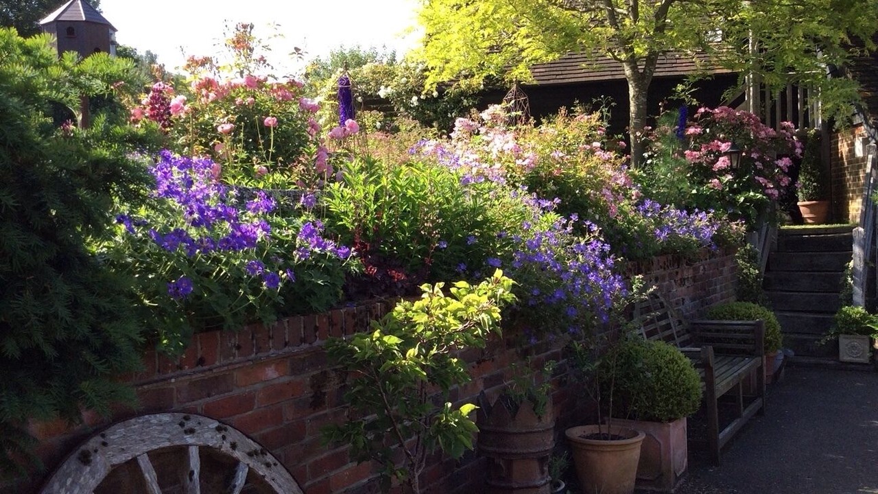 Photo of Outdoor in Ewhurst Green