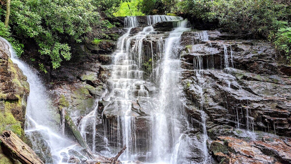 Photo of Others in Valley Creek Run