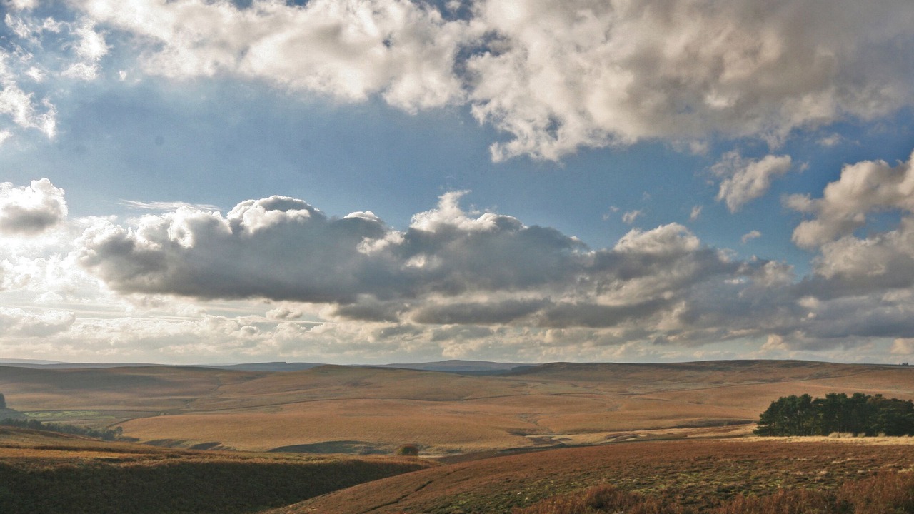 Photo of Others in Otterburn