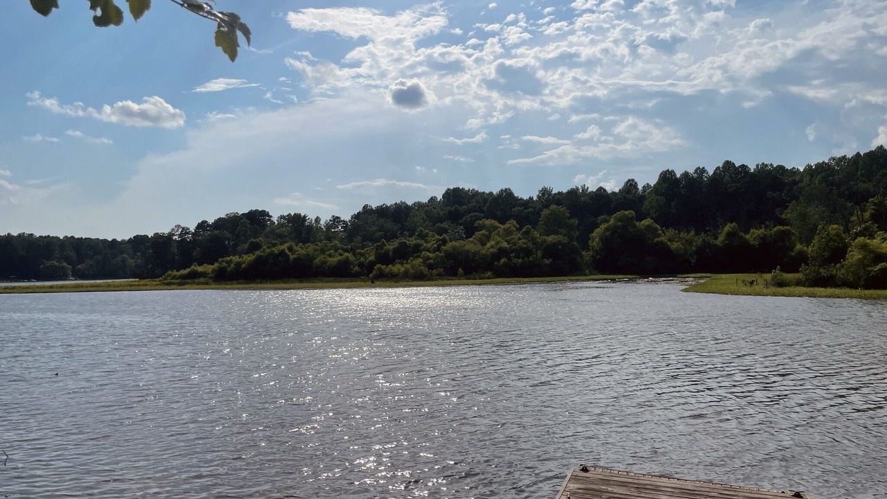 Photo of Others in Paw Creek