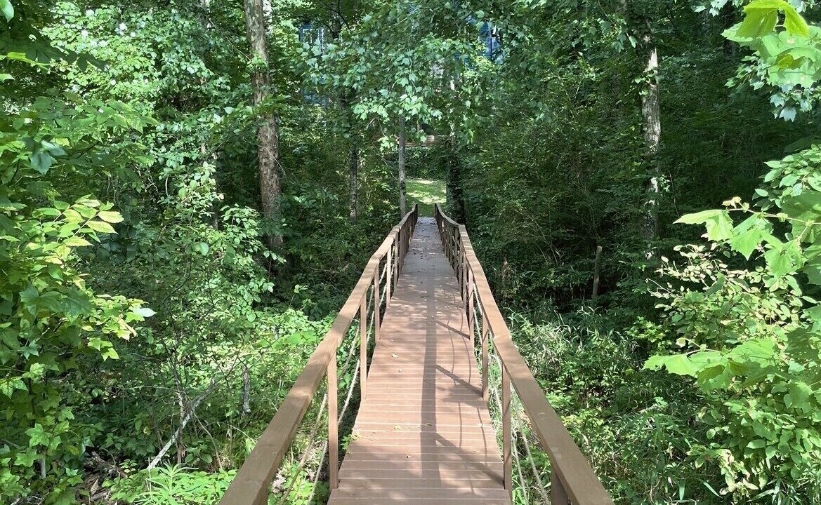 Photo of Outdoor in Paw Creek