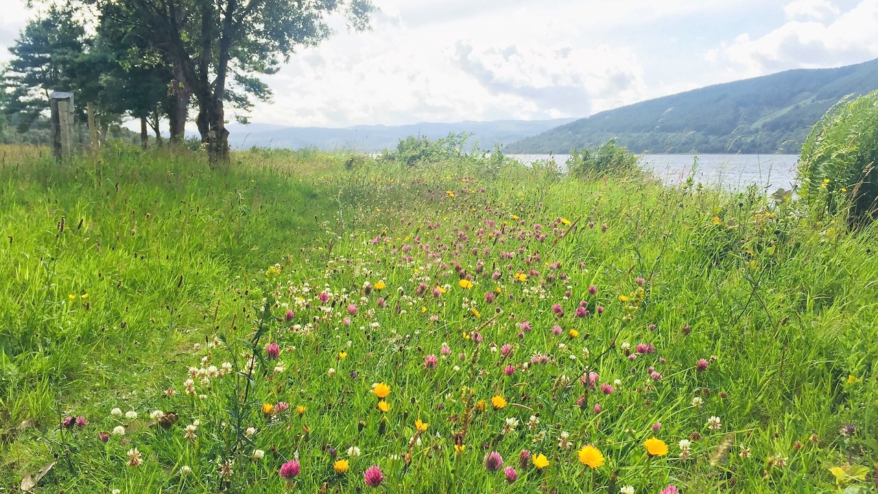 Photo of Outdoor in Cairndow