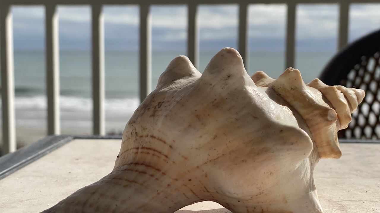 Photo of Others in Ocean Isle Beach