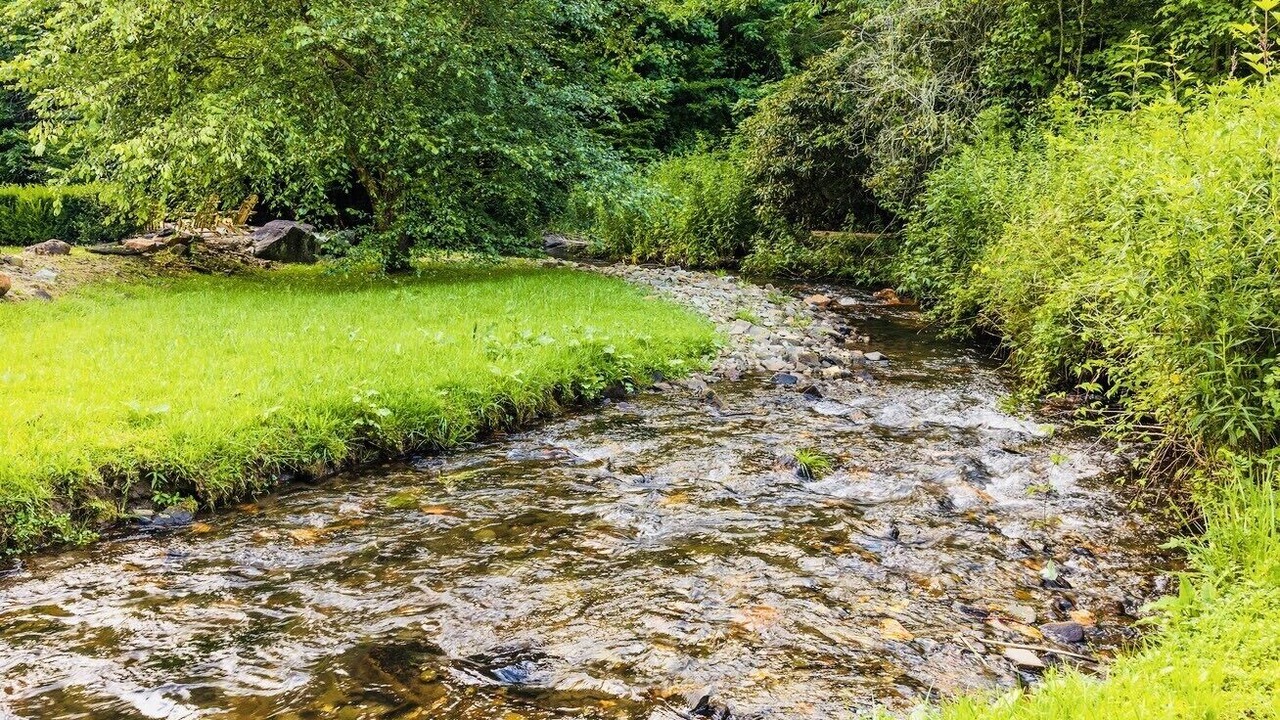 Photo of Outdoor in Topton