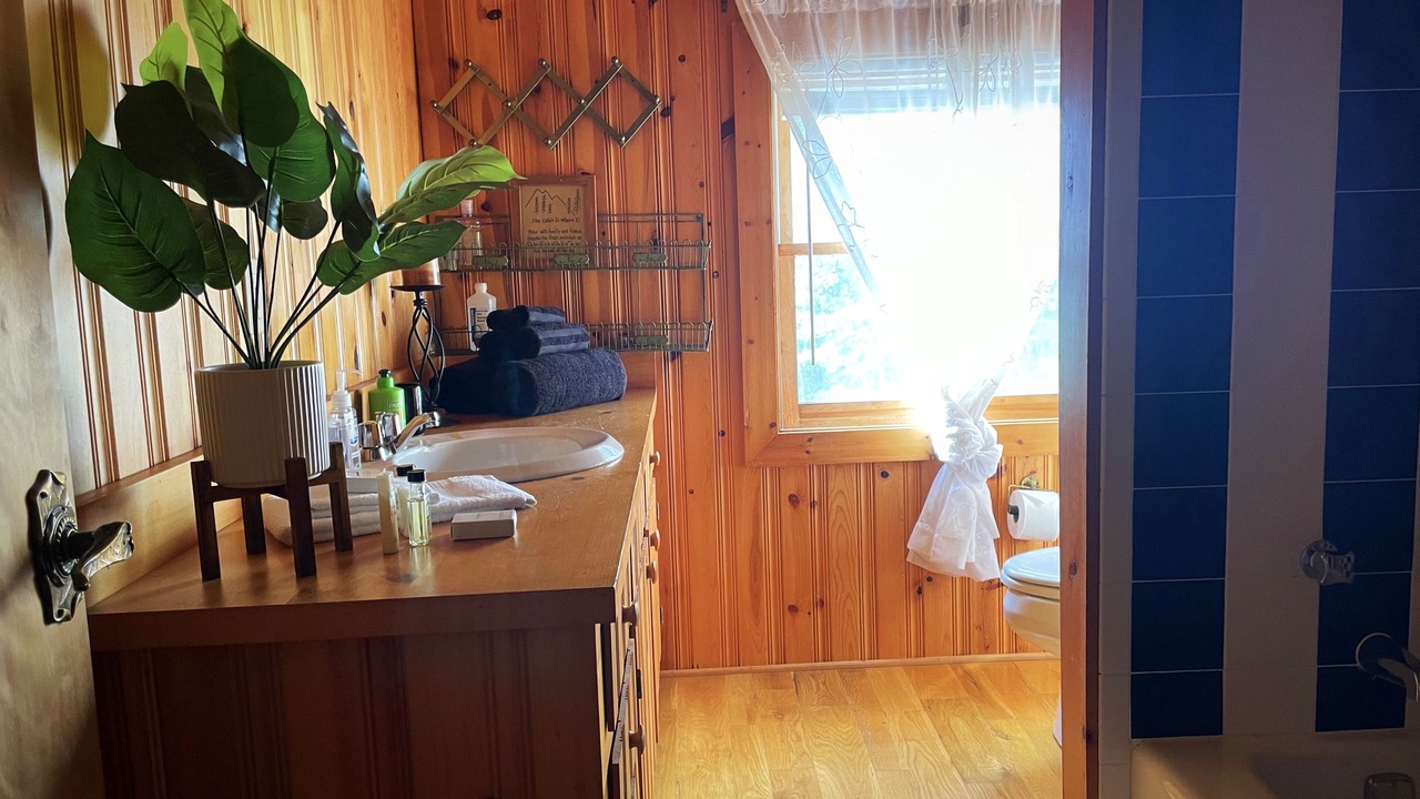Photo of Bathroom in Scaly Mountain