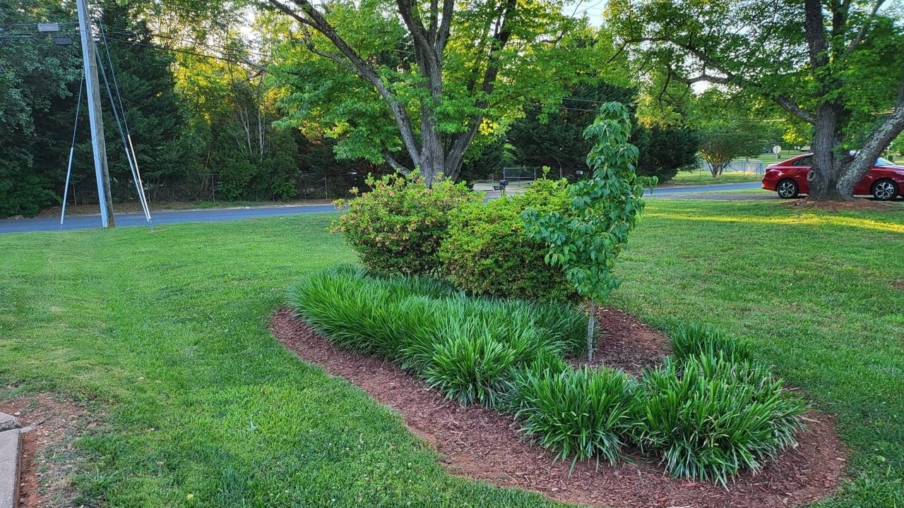 Photo of Outdoor in Oakdale