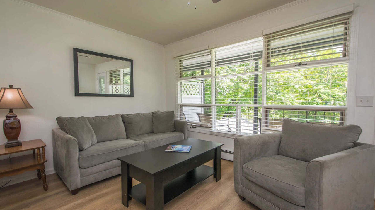 Photo of Livingroom in Flat Rock