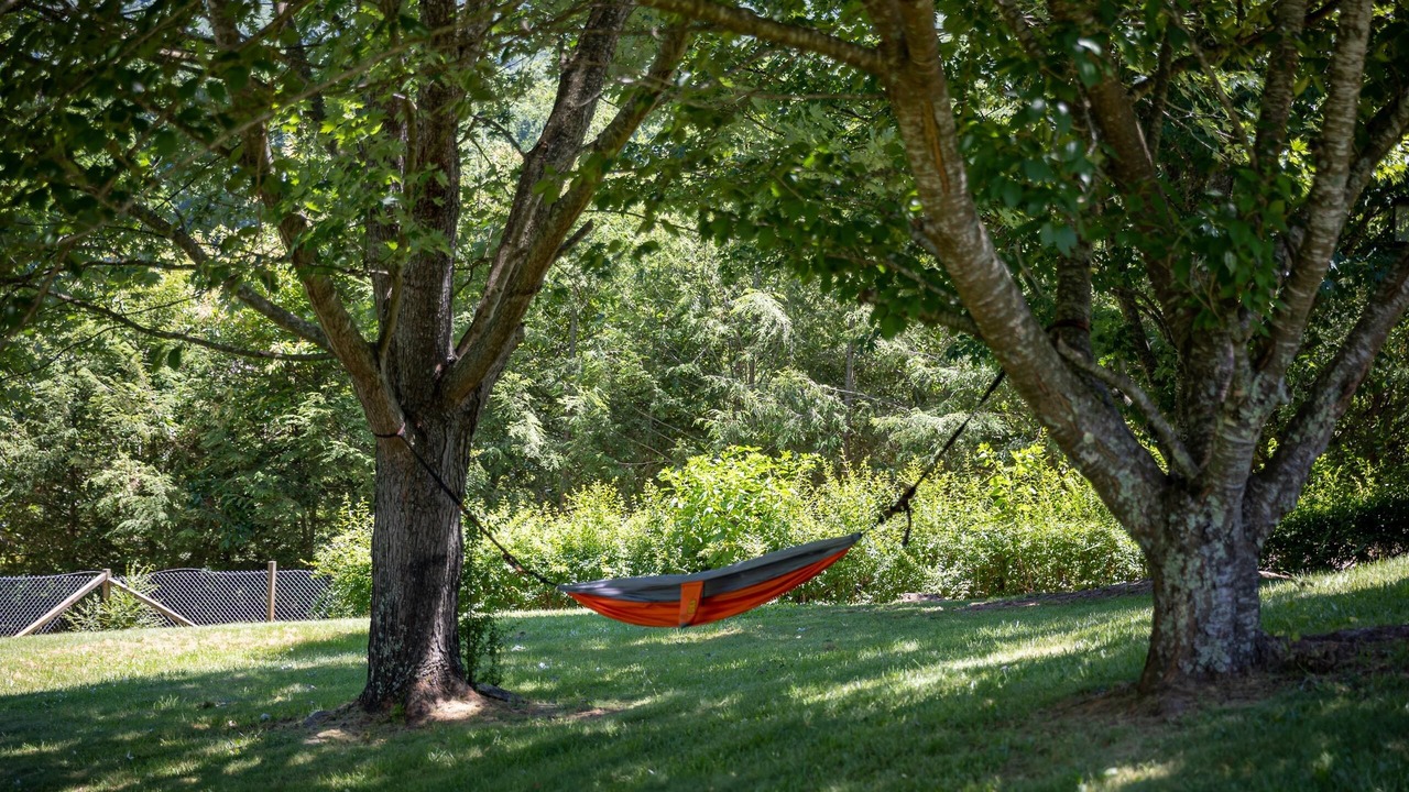 Photo of Outdoor in Clyde