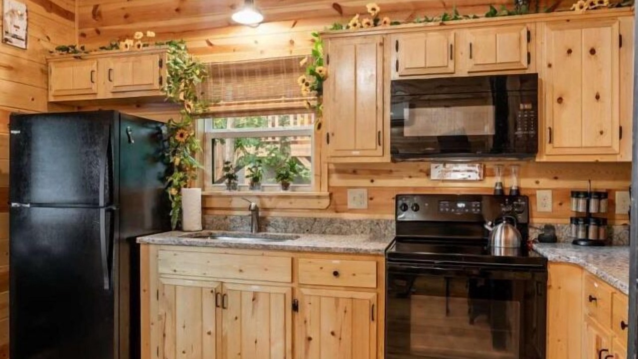 Photo of Kitchen in Murphy
