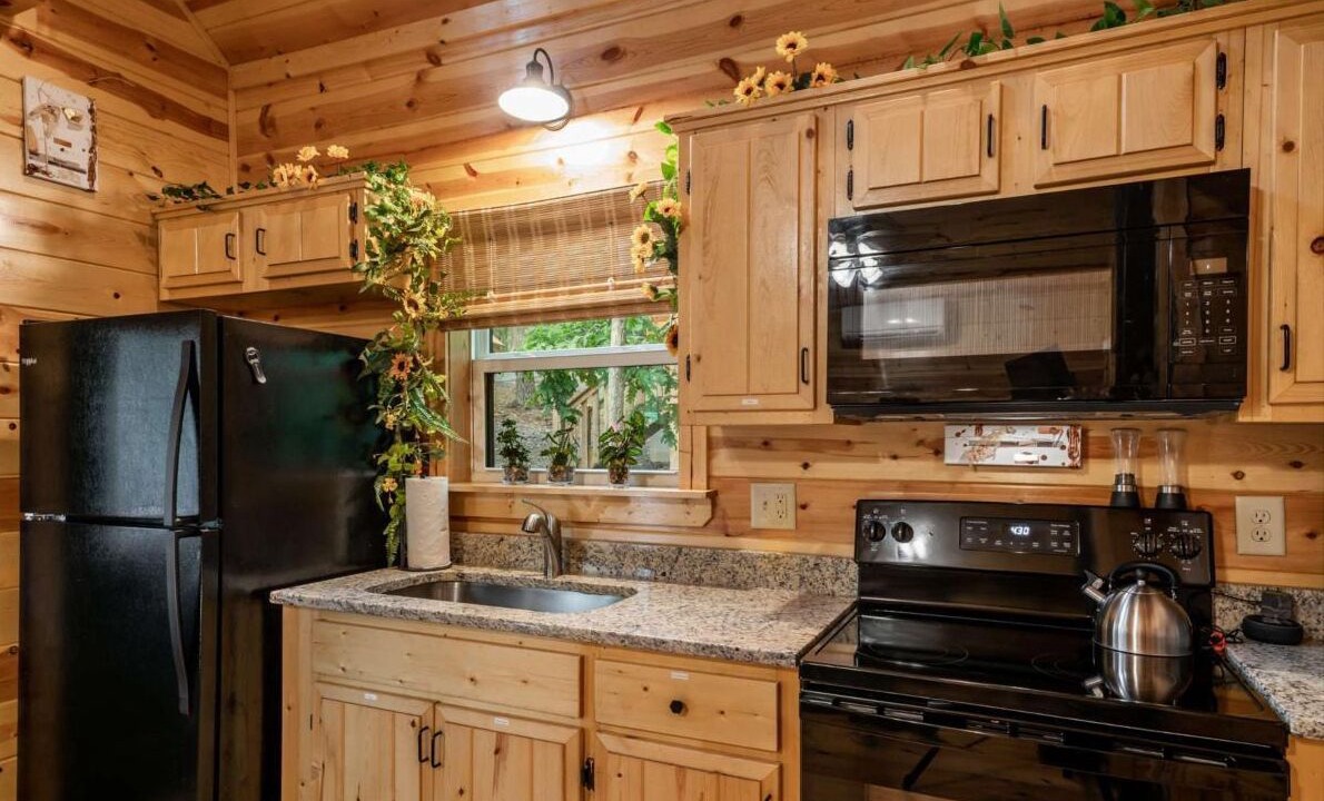 Photo of Kitchen in Murphy