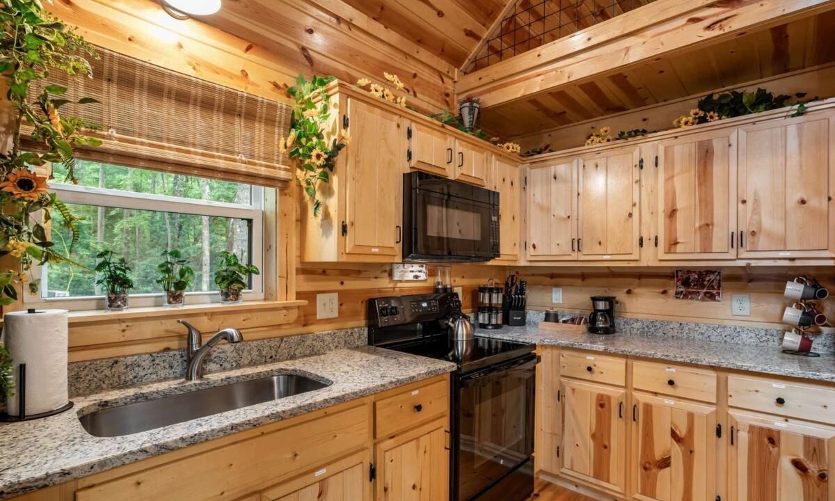 Photo of Kitchen in Murphy
