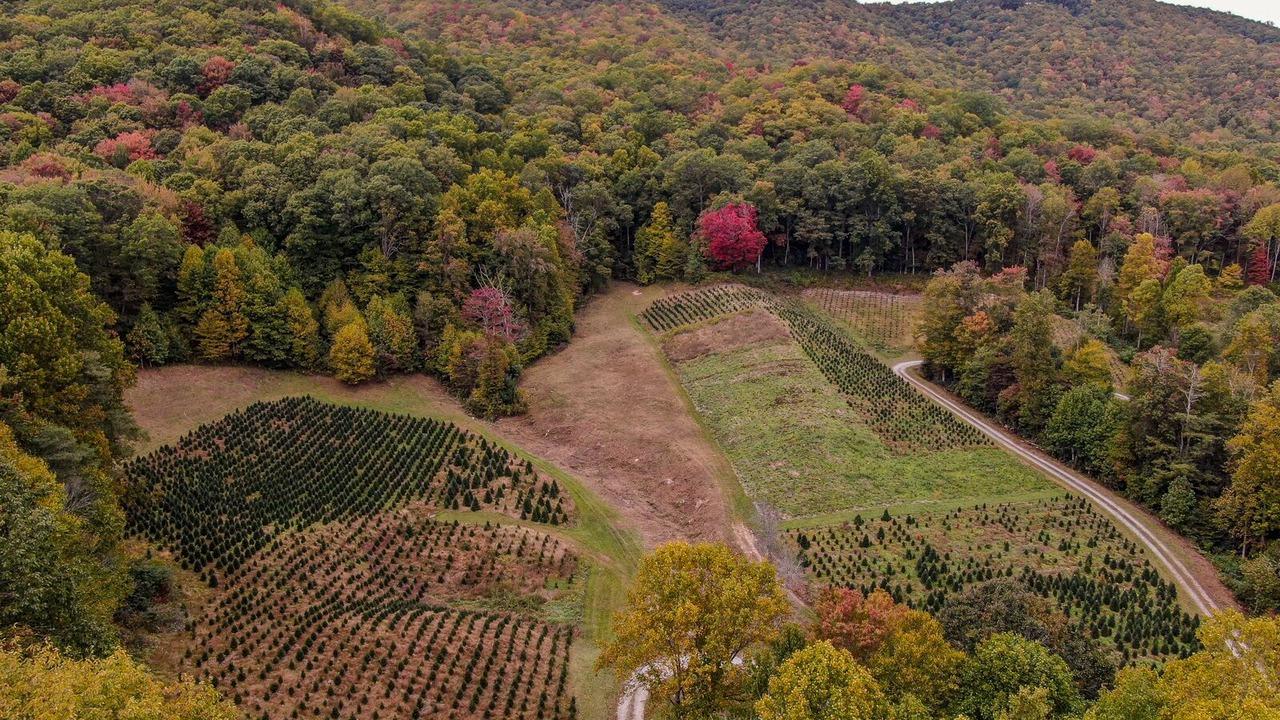 Photo of Outdoor in Vilas