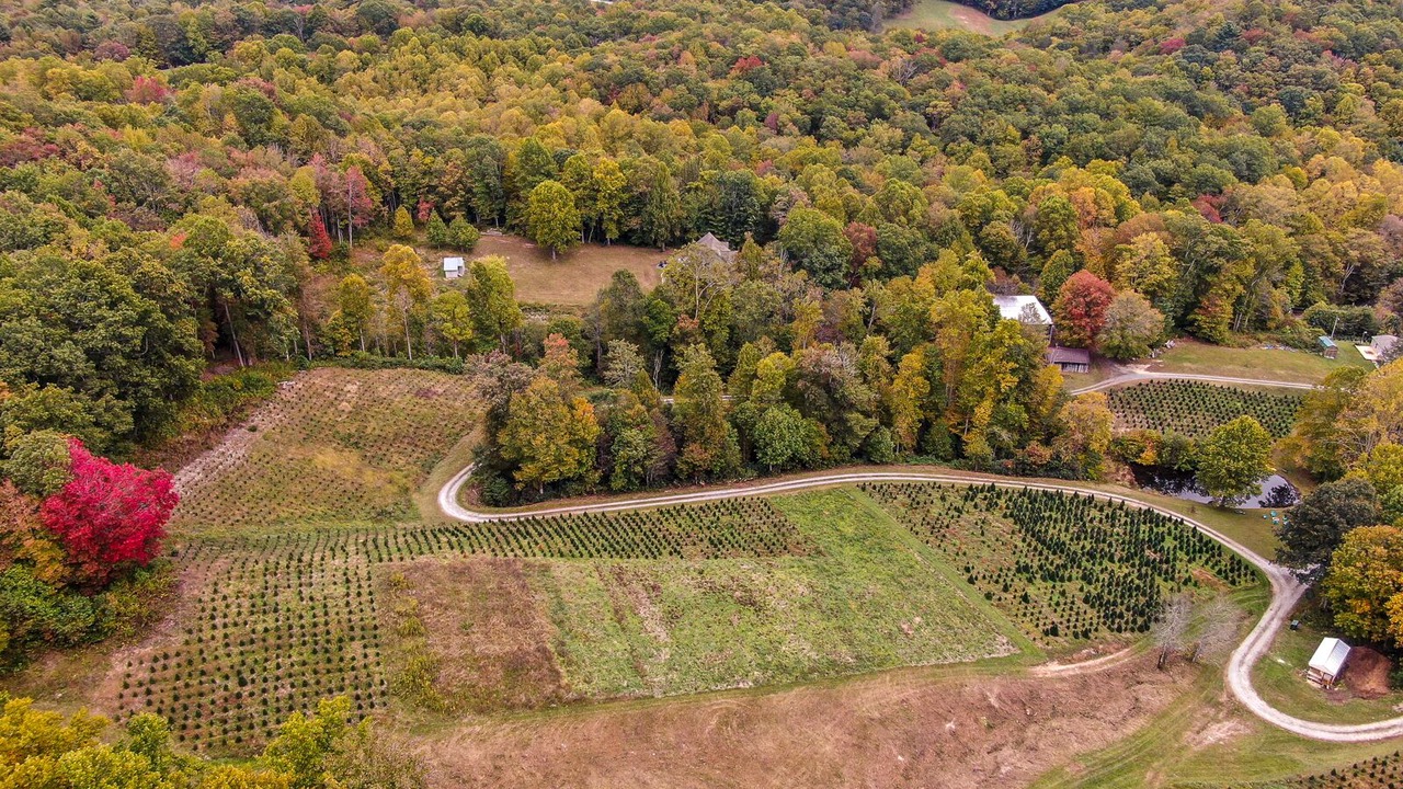 Photo of Outdoor in Vilas