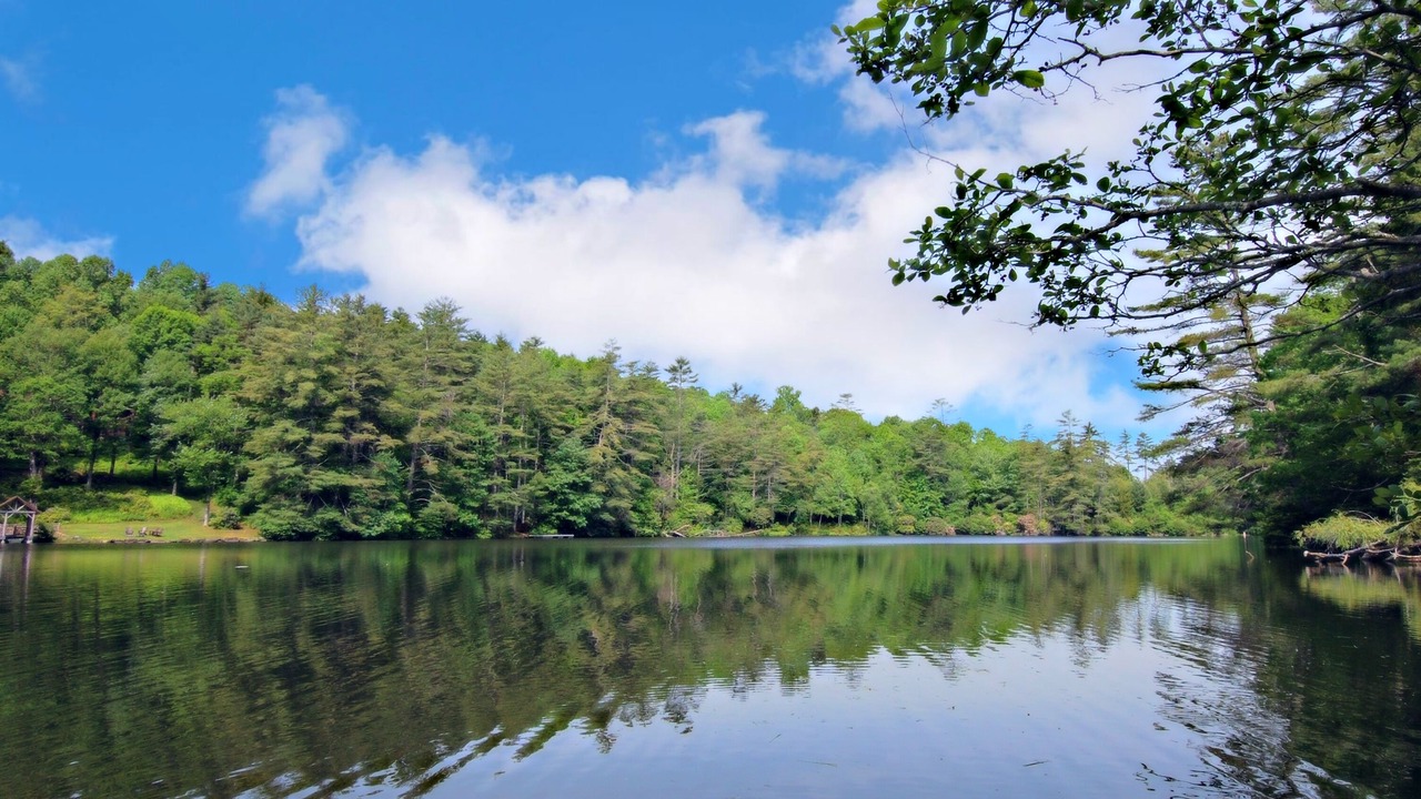 Photo of Outdoor in Lake Sequoyah