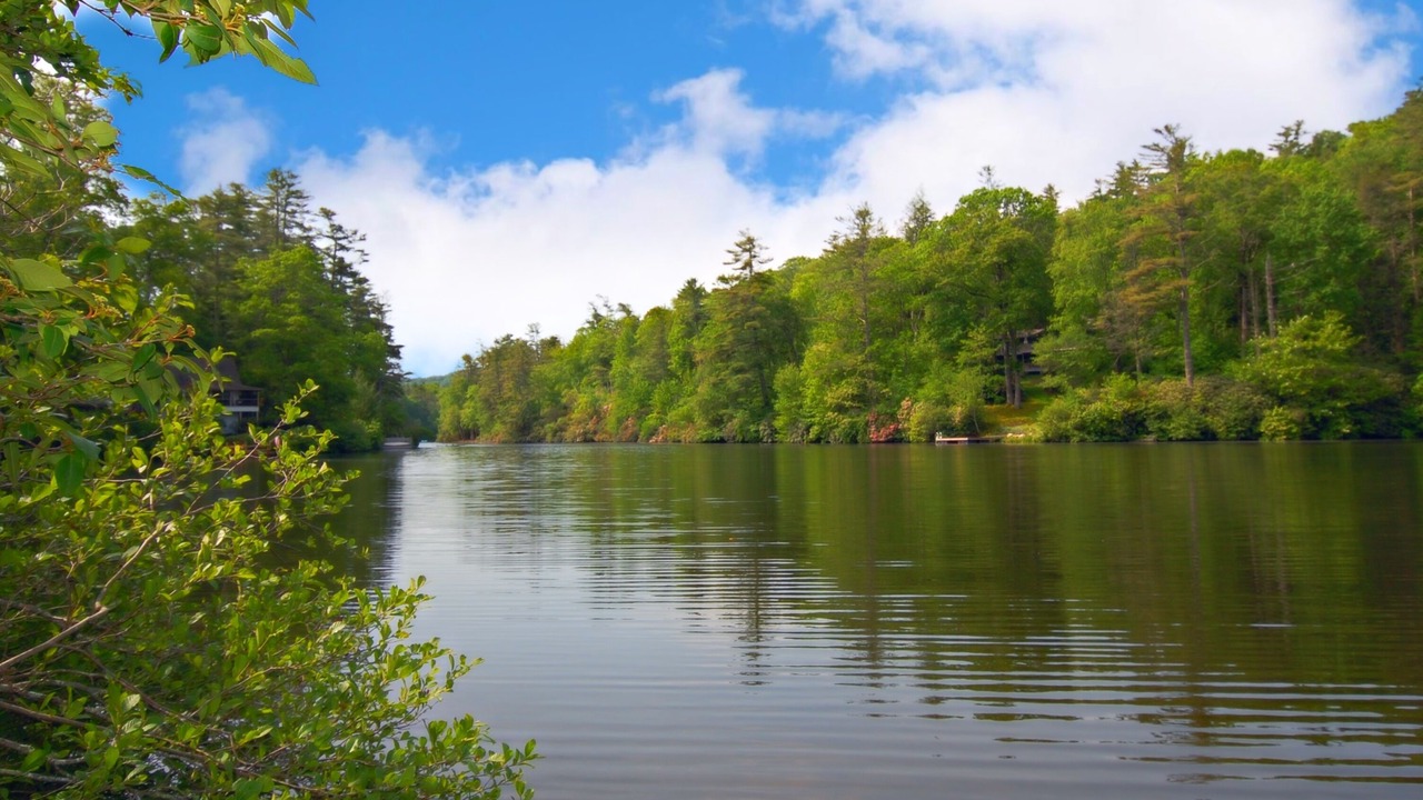 Photo of Outdoor in Lake Sequoyah