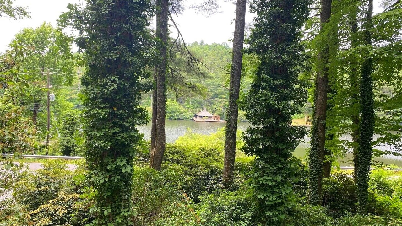 Photo of Outdoor in Lake Sequoyah