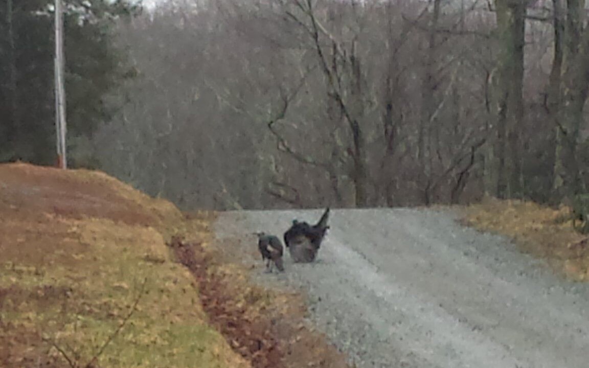 Photo of Others in Blowing Rock