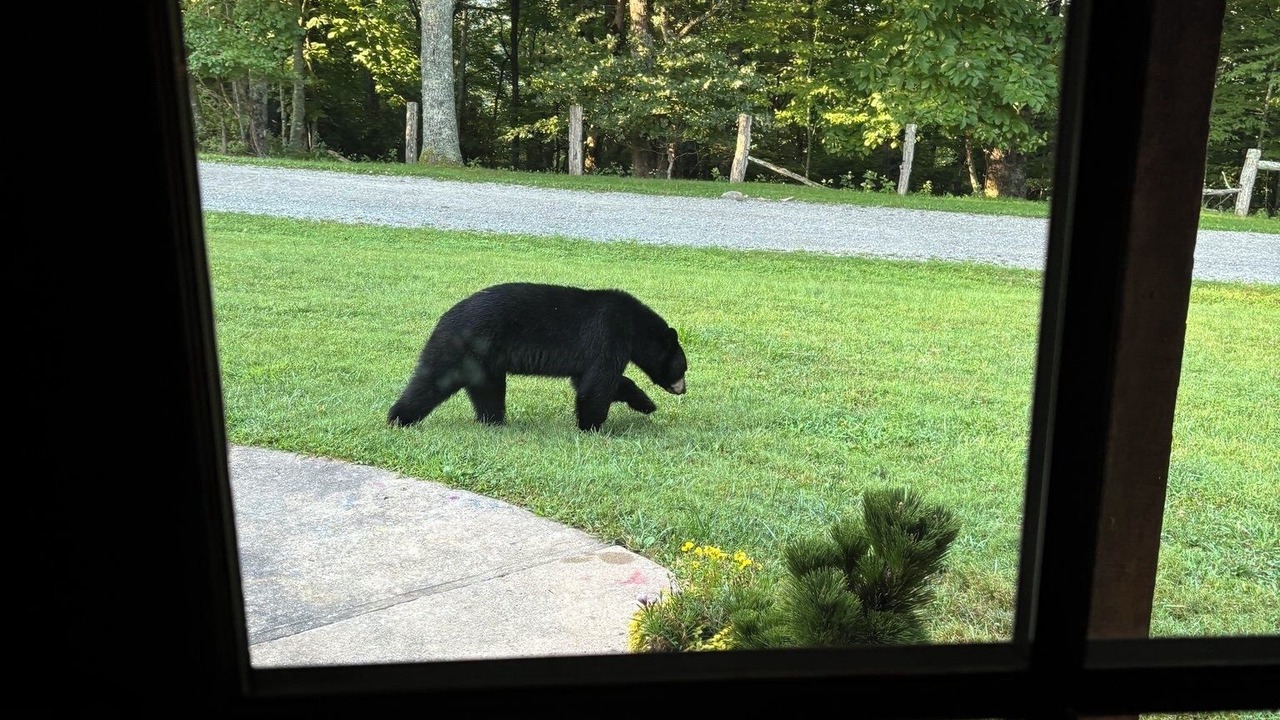 Photo of Others in Blowing Rock