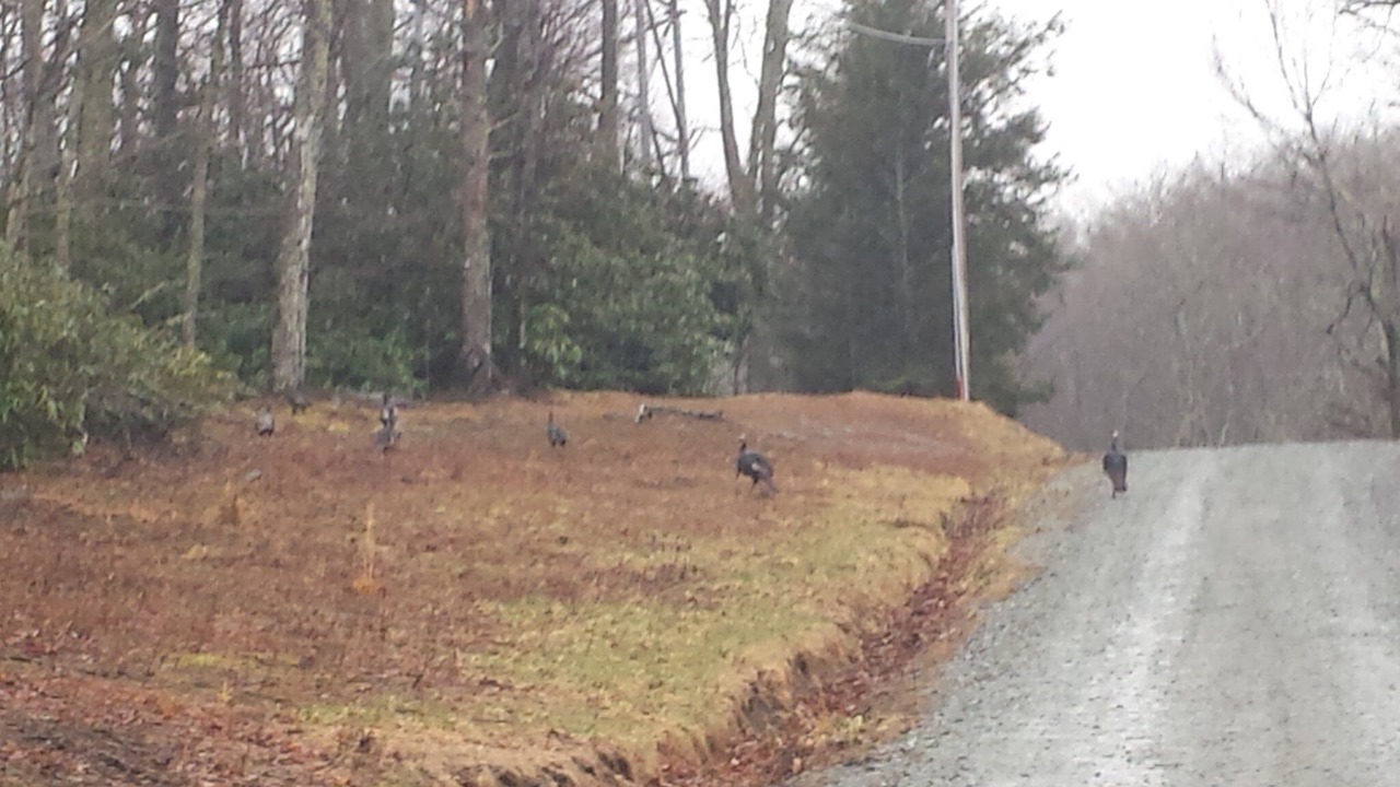 Photo of Outdoor in Blowing Rock