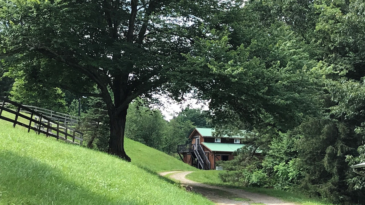 Photo of Outdoor in Waynesville