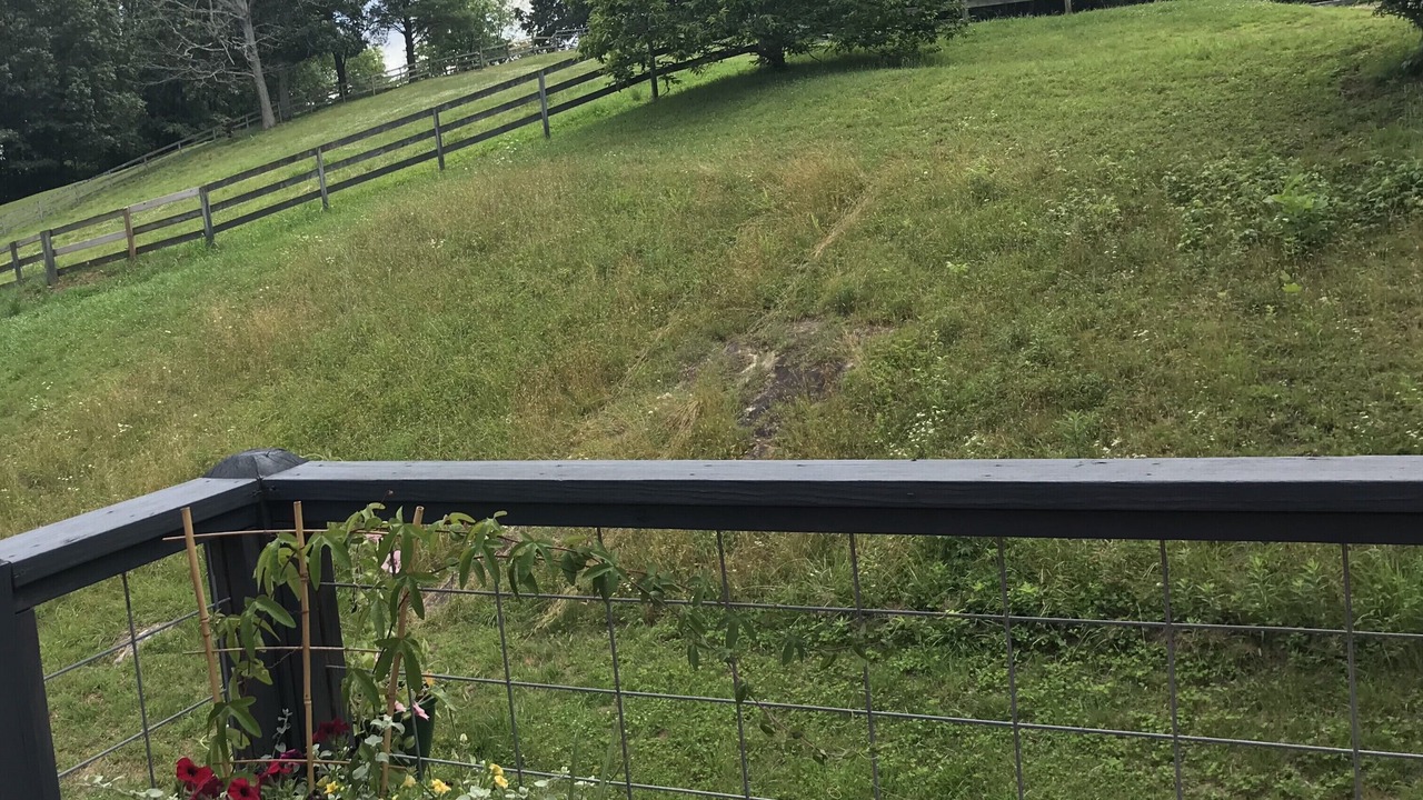 Photo of Outdoor in Waynesville