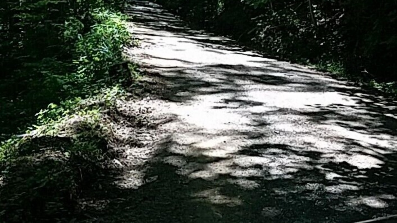 Photo of Others in Whittier
