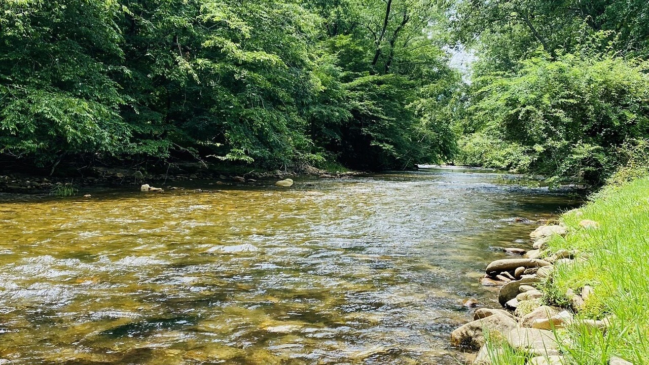 Photo of Outdoor in Horse Shoe