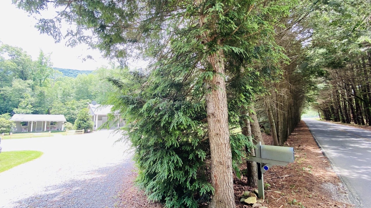 Photo of Outdoor in Horse Shoe