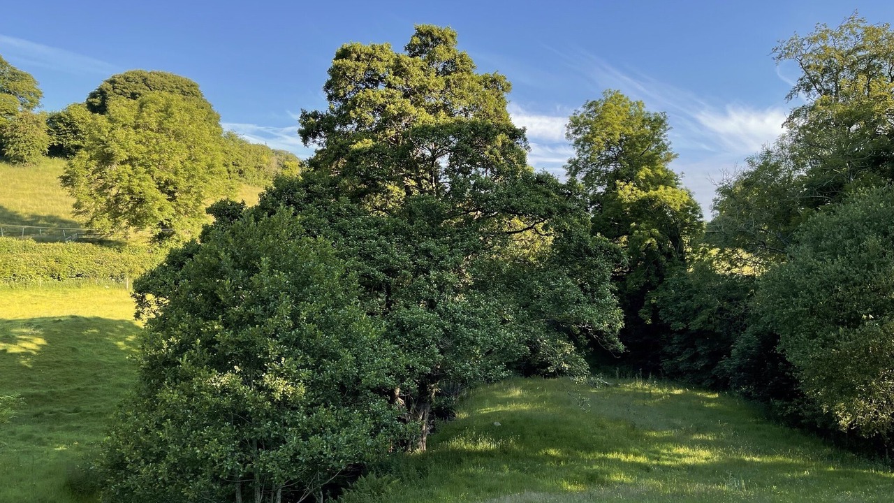 Photo of Outdoor in Selattyn