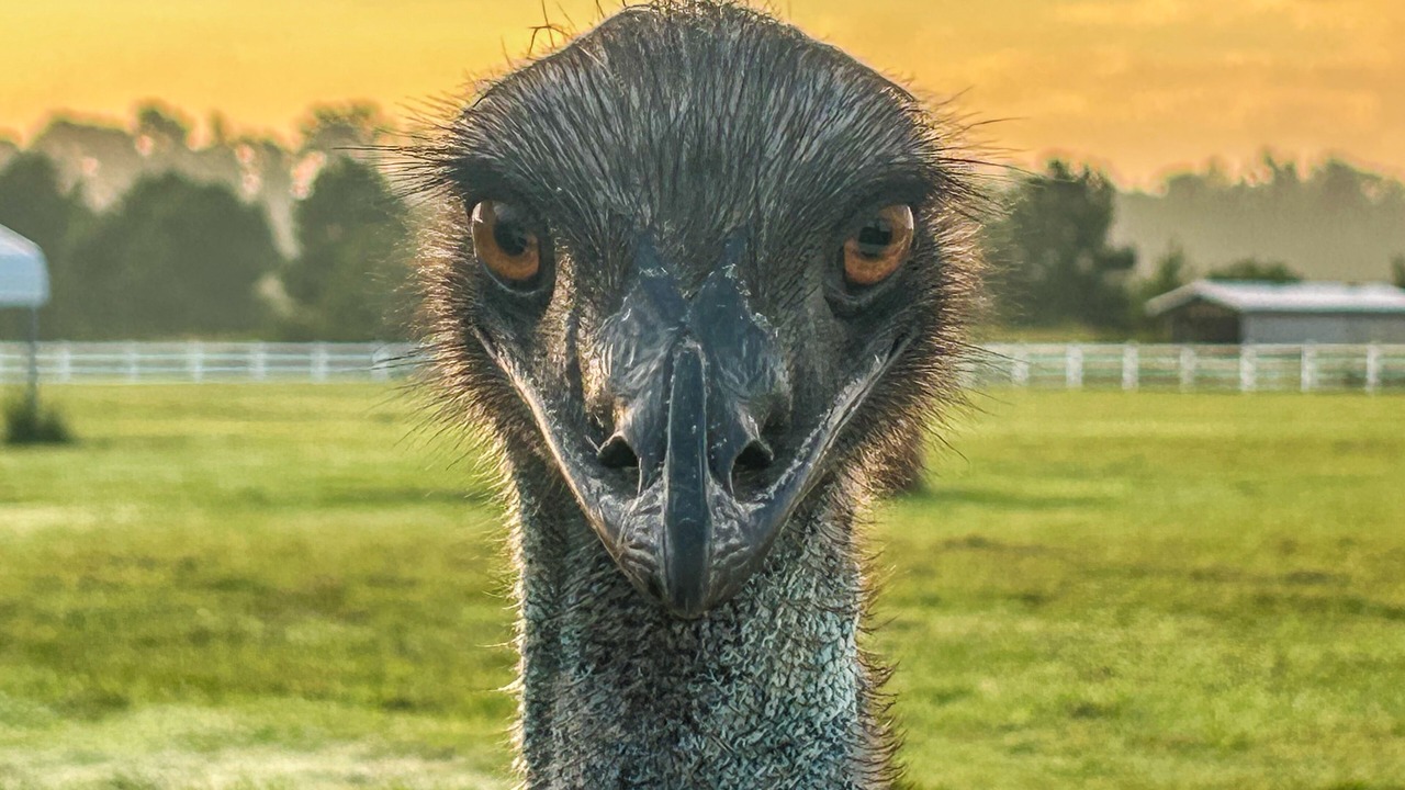 Photo of Others in Parkton