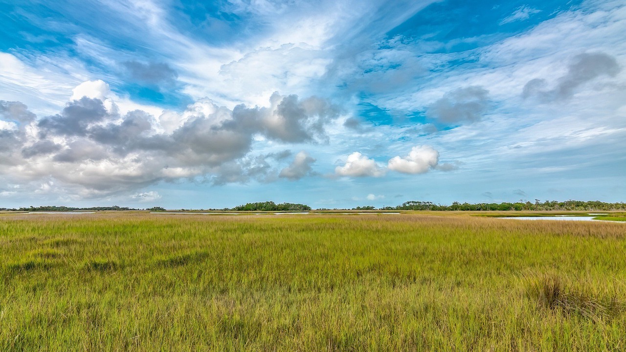 Photo of Others in Bald Head Island