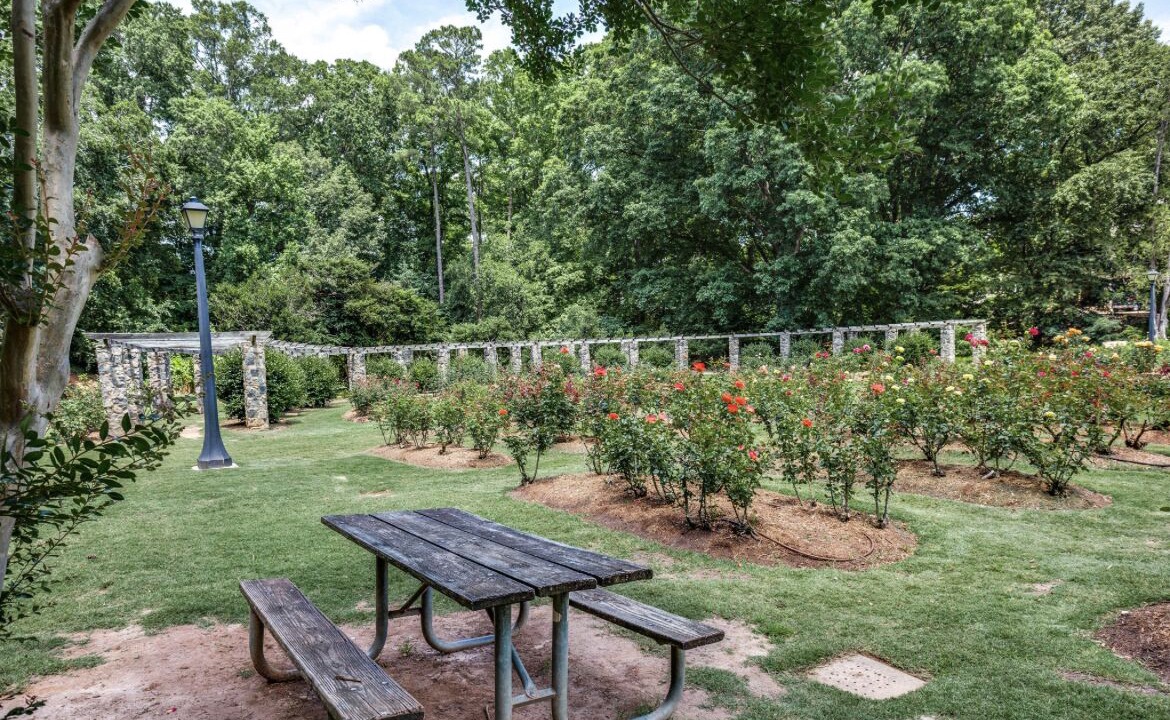 Photo of Outdoor in Southwest Raleigh