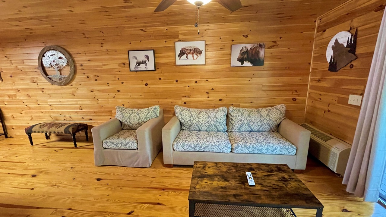 Photo of Livingroom in Bryson City